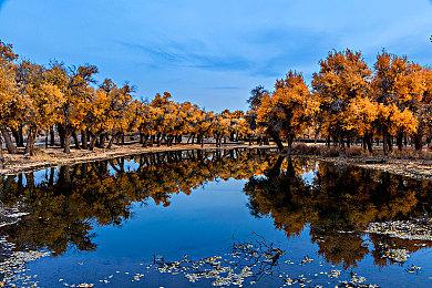 《植物大战僵尸3》国服上线 登陆iOS和安卓等平台